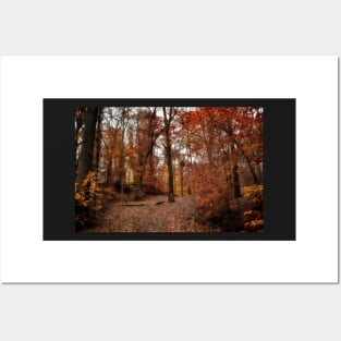 Autumn Woods Posters and Art